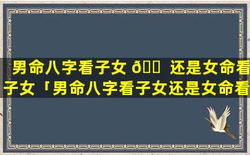 男命八字看子女 🐠 还是女命看子女「男命八字看子女还是女命看子女好 🌵 」